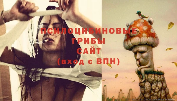 ECSTASY Верхний Тагил